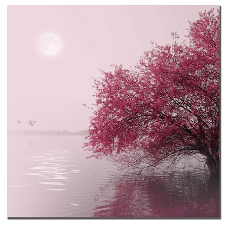 Trademark Fine Art Philippe Sainte-Laudy 'Full Moon on the Lake' Canvas Art, 35x35 PSL014-C3535GG
